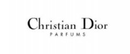 Md Motions Logo Christian Dior